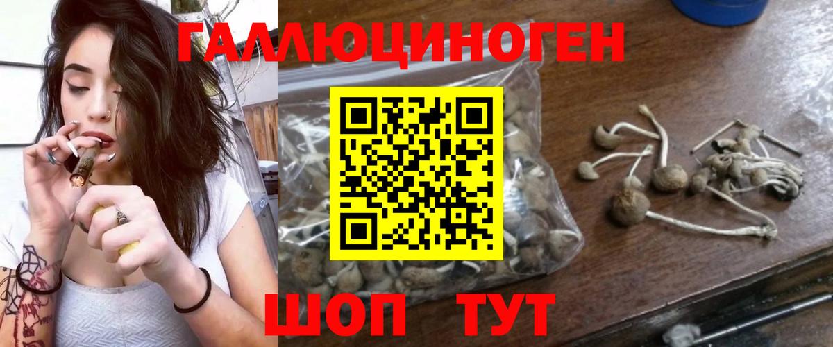 Муром  Псилоцибиновые грибы Psilocybine cubensis  Вход с VPN 